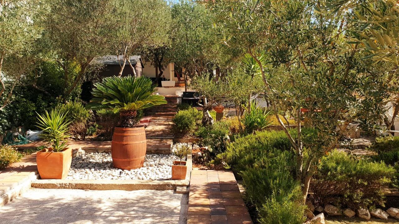 House Oliva With Private Pool And Large Garden Villa Stari Grad  Dış mekan fotoğraf
