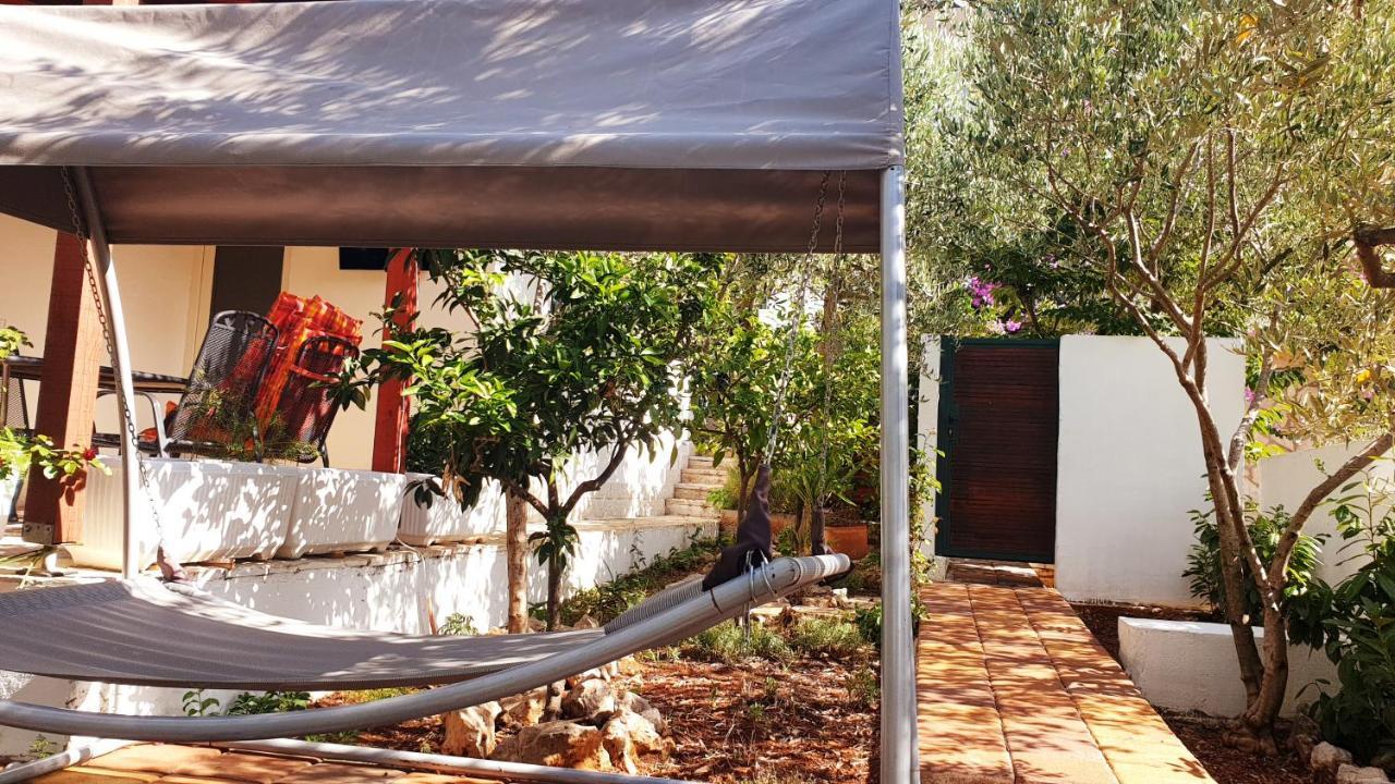 House Oliva With Private Pool And Large Garden Villa Stari Grad  Dış mekan fotoğraf
