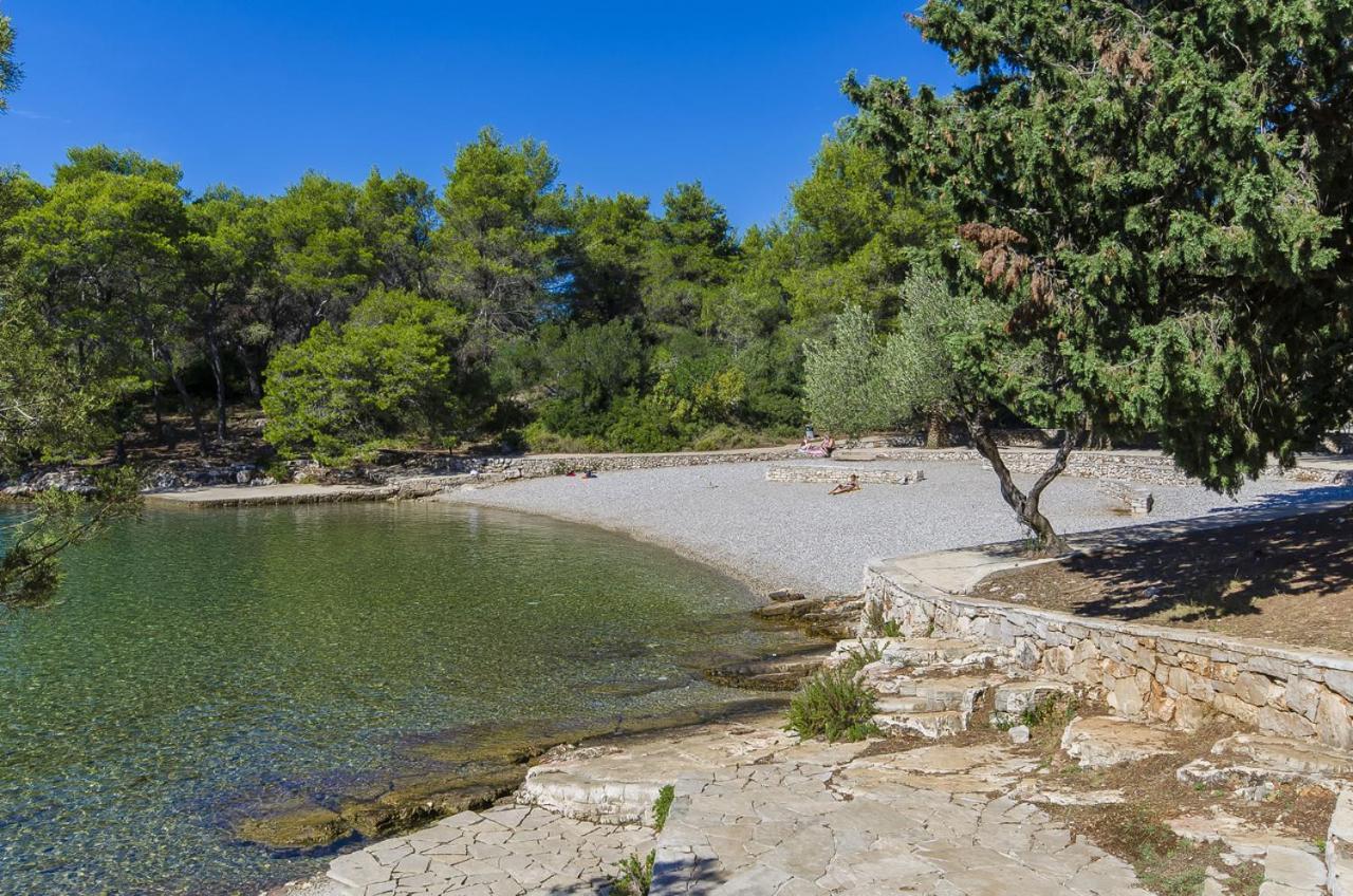 House Oliva With Private Pool And Large Garden Villa Stari Grad  Dış mekan fotoğraf