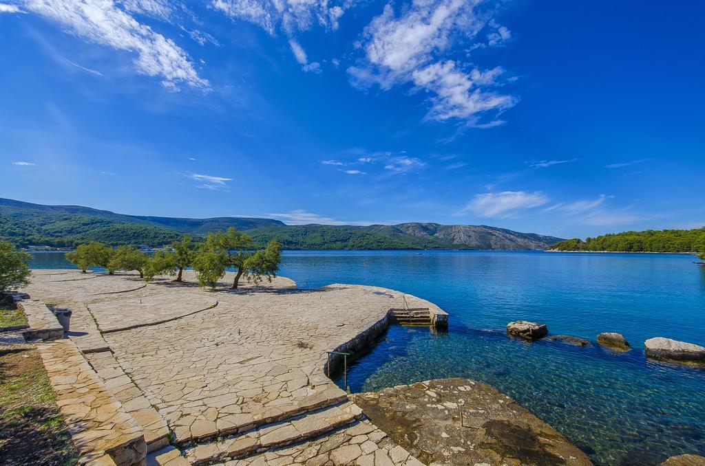 House Oliva With Private Pool And Large Garden Villa Stari Grad  Dış mekan fotoğraf