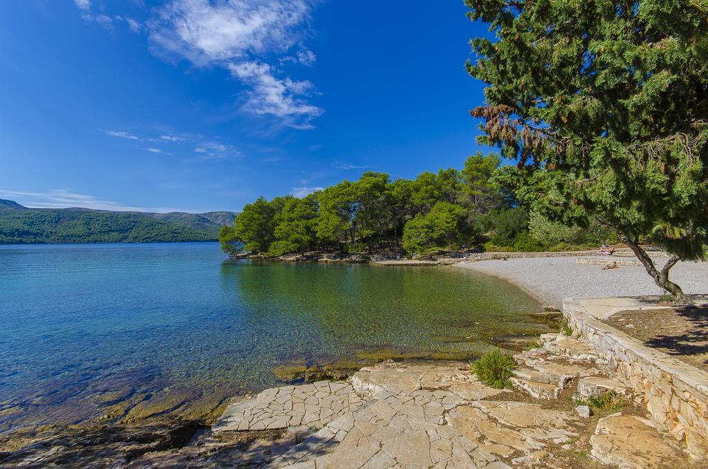 House Oliva With Private Pool And Large Garden Villa Stari Grad  Dış mekan fotoğraf